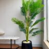 Lush Paradise Artificial Palm Tree in Black Planter