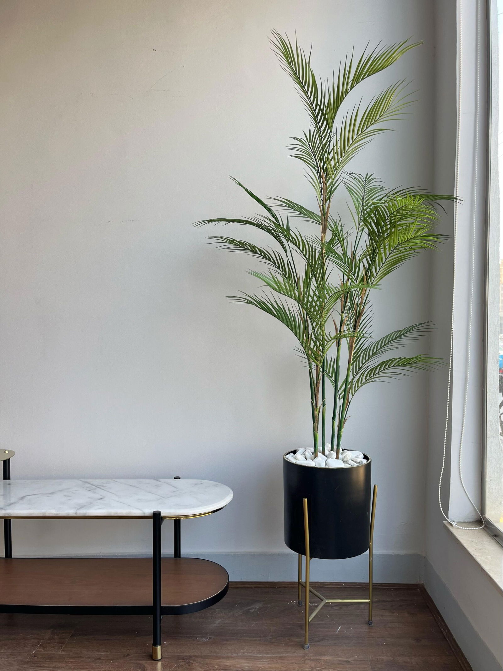 Luxe Palm in Elevated Black Planter