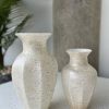 Speckled Frost Glass Vases Set(2P)